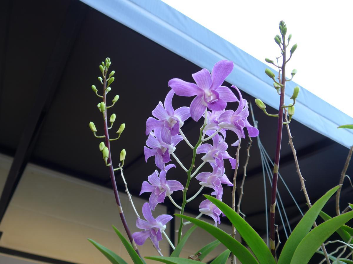 Forum House Hotel Krabi town Εξωτερικό φωτογραφία